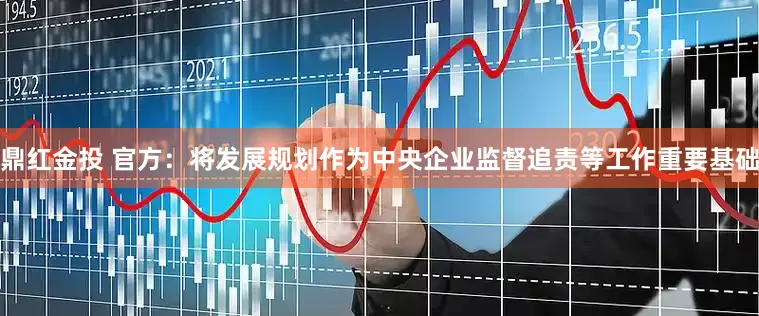 鼎红金投 官方：将发展规划作为中央企业监督追责等工作重要基础