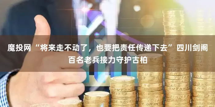 魔投网 “将来走不动了，也要把责任传递下去” 四川剑阁百名老兵接力守护古柏