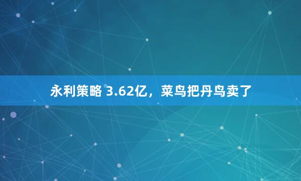 永利策略 3.62亿，菜鸟把丹鸟卖了