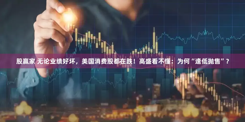股赢家 无论业绩好坏，美国消费股都在跌！高盛看不懂：为何“逢低抛售”？
