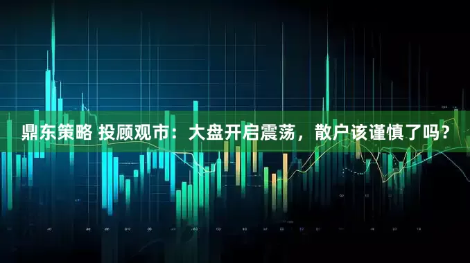鼎东策略 投顾观市：大盘开启震荡，散户该谨慎了吗？