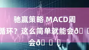 驰赢策略 MACD周期循环？这么简单就能会😎